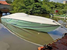 
										PROMARINE 33 1000 SS full									