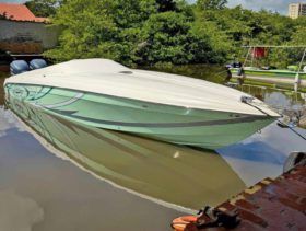 PROMARINE 33 1000 SS