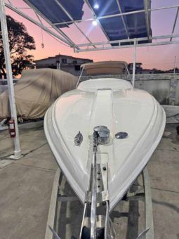 
										PROMARINE 33 1000 SS full									