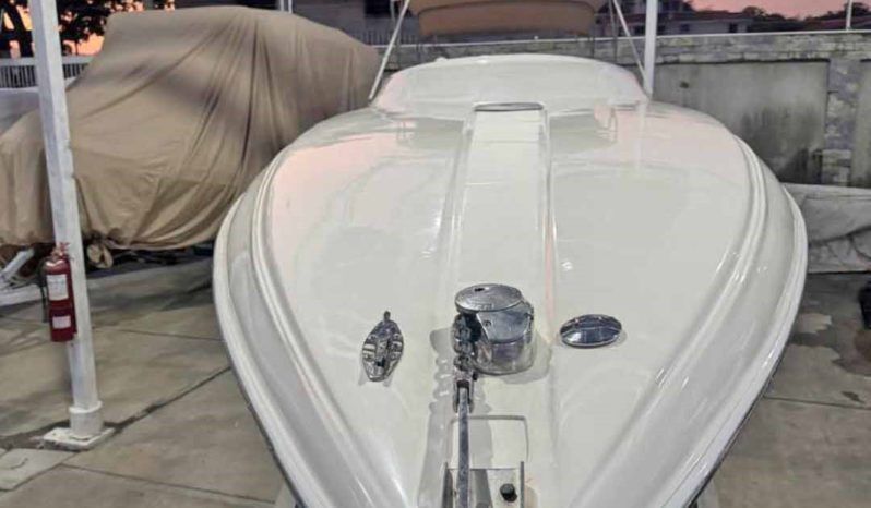 
								PROMARINE 33 1000 SS full									