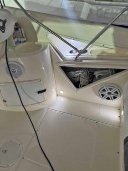 
										PROMARINE 33 1000 SS full									