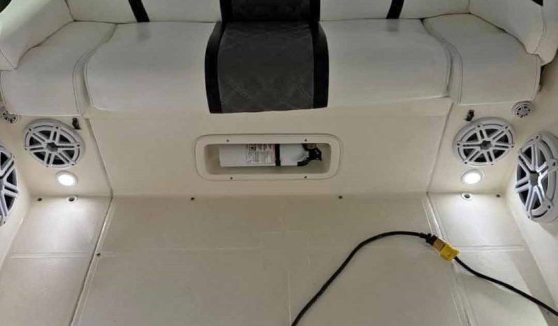 
								PROMARINE 33 1000 SS full									