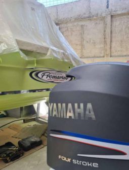 
										PROMARINE 24 full									