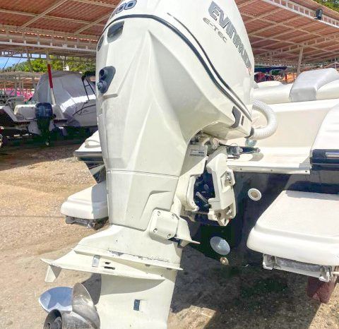 
								PROMARINE SUPER SPORT SERIES 21 full									