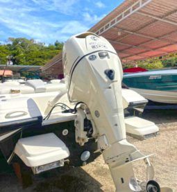 
										PROMARINE SUPER SPORT SERIES 21 full									