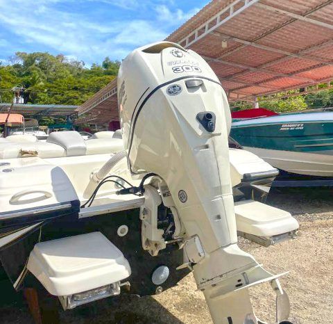 
								PROMARINE SUPER SPORT SERIES 21 full									