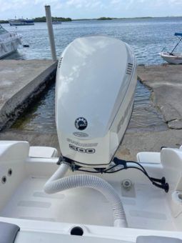 
										PROMARINE SUPER SPORT SERIES 21 full									