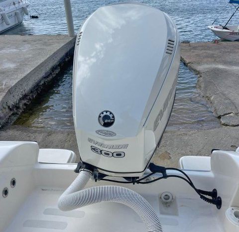 
								PROMARINE SUPER SPORT SERIES 21 full									