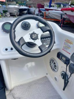 
										PROMARINE SUPER SPORT SERIES 21 full									