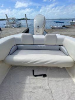 
										PROMARINE SUPER SPORT SERIES 21 full									