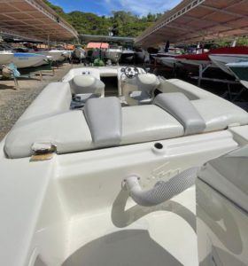 PROMARINE SUPER SPORT SERIES 21