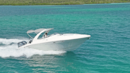 
										PRONAUTICA COASTAL 34 full									