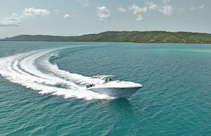 
								PRONAUTICA COASTAL 34 full									