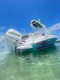 
										PRONAUTICA WAKE 21 full									