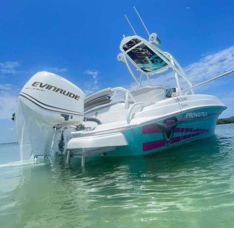 
								PRONAUTICA WAKE 21 full									