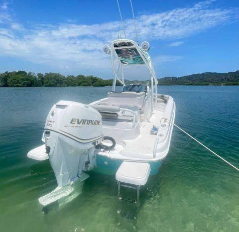 
								PRONAUTICA WAKE 21 full									