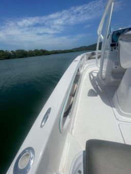 
										PRONAUTICA WAKE 21 full									