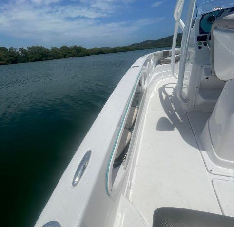 
								PRONAUTICA WAKE 21 full									