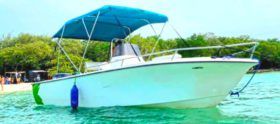 RALLY SPORT 21