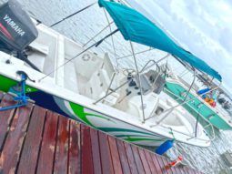 
										RALLY SPORT 21 full									