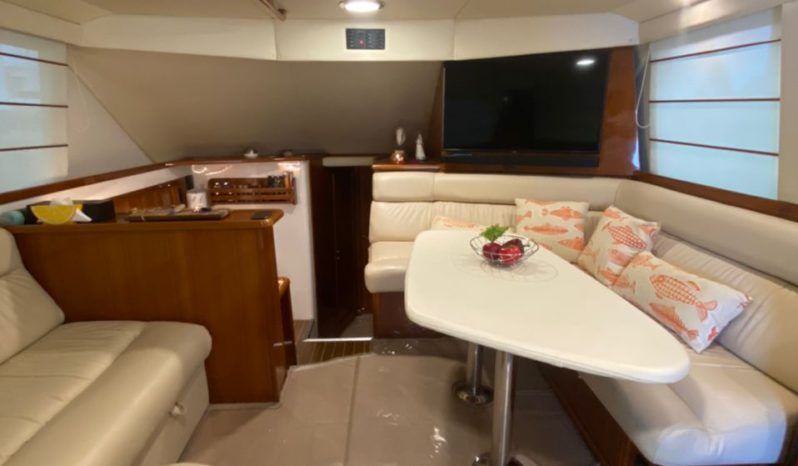 
								RIVIERA 40 full									