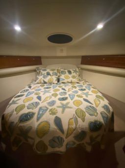 
										RIVIERA 40 full									