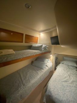 
										RIVIERA 40 full									