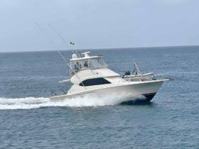 RIVIERA 41