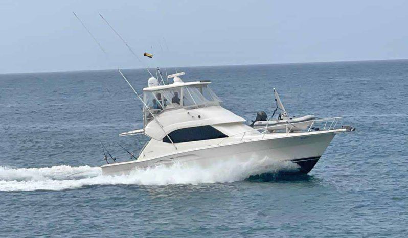 
								RIVIERA 41 full									