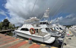 
										RIVIERA CONVERTIBLE 51 full									