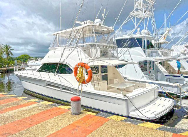 
								RIVIERA CONVERTIBLE 51 full									