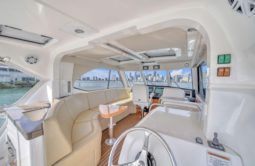 
										RIVIERA ENCLOSED BRIDGE 51 full									