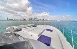 
										RIVIERA ENCLOSED BRIDGE 51 full									