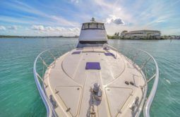 
										RIVIERA ENCLOSED BRIDGE 51 full									