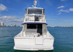 
										RIVIERA ENCLOSED BRIDGE 51 full									