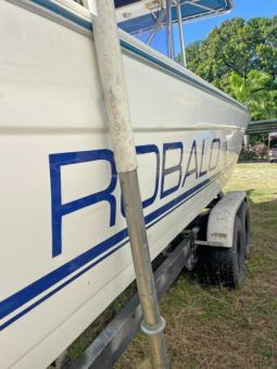 
										ROBALO 2320 25 full									