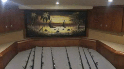 RONIN SPORT FISHING 41 full