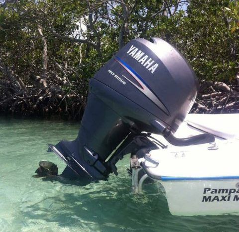 
								SANTOS DEPORTIVO 18.5 full									