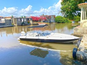 SEA PRO 21
