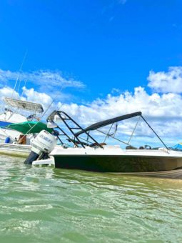 
										SEA PRO 21 full									