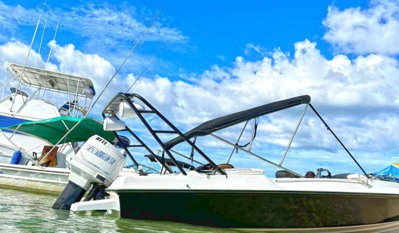 
								SEA PRO 21 full									