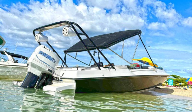 
								SEA PRO 21 full									