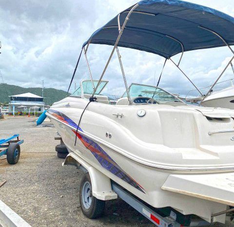
								SEA RAY 210SD SUN DECK 21 full									