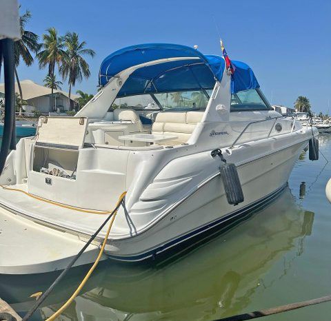 SEA RAY SUNDANCER 34 full