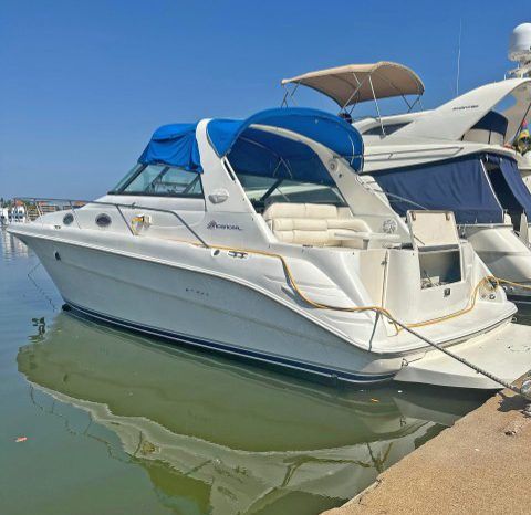 SEA RAY SUNDANCER 34 full
