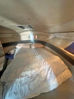 SEA RAY SUNDANCER 34 full