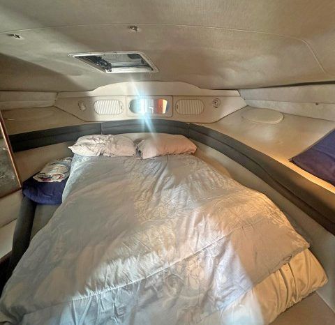 SEA RAY SUNDANCER 34 full