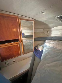 SEA RAY SUNDANCER 34 full