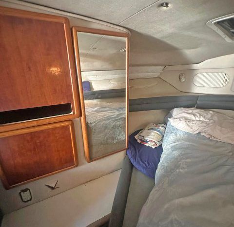 SEA RAY SUNDANCER 34 full