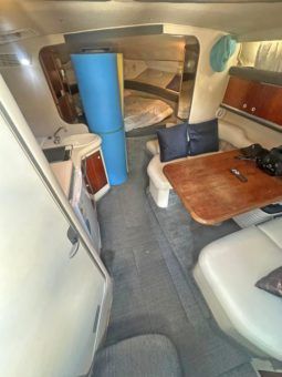 SEA RAY SUNDANCER 34 full